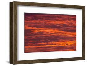 Sunrise cloudscape, Kgalagadi Transfrontier Park, South Africa, Africa-Ann and Steve Toon-Framed Photographic Print