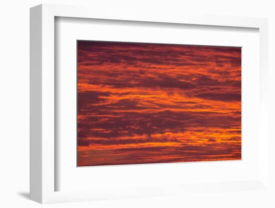 Sunrise cloudscape, Kgalagadi Transfrontier Park, South Africa, Africa-Ann and Steve Toon-Framed Photographic Print