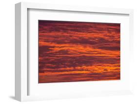 Sunrise cloudscape, Kgalagadi Transfrontier Park, South Africa, Africa-Ann and Steve Toon-Framed Photographic Print