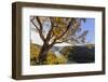 Sunrise filtering into the New River Gorge at Hawks Nest State Park in Ansted, West Virginia, USA-Chuck Haney-Framed Photographic Print