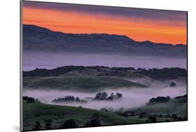 Sunrise Fire over Petaluma Hills, Sonoma County, Bay Area-Vincent James-Mounted Premium Photographic Print