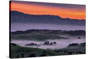 Sunrise Fire over Petaluma Hills, Sonoma County, Bay Area-Vincent James-Stretched Canvas