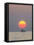 Sunrise, Fishing Boat near Maui, Hawaii, USA-Stuart Westmorland-Framed Stretched Canvas
