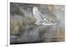 Sunrise Flight-Wilhelm Goebel-Framed Giclee Print