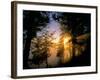 Sunrise Fog on the Madison River, Yellowstone National Park, Wyoming, USA-Chuck Haney-Framed Photographic Print