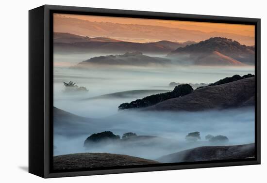 Sunrise Fog Through the Hills of Sonoma Valley, Petaluma California-Vincent James-Framed Stretched Canvas