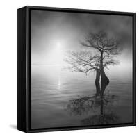 Sunrise Fog-Moises Levy-Framed Stretched Canvas