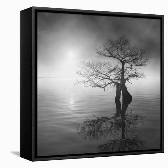 Sunrise Fog-Moises Levy-Framed Stretched Canvas