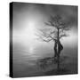 Sunrise Fog-Moises Levy-Stretched Canvas