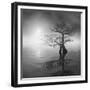 Sunrise Fog-Moises Levy-Framed Photographic Print