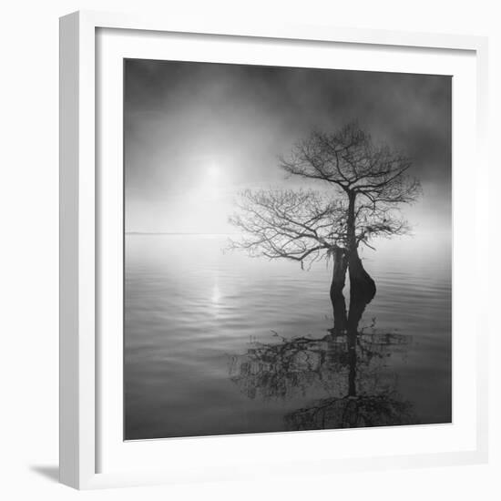 Sunrise Fog-Moises Levy-Framed Photographic Print