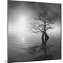 Sunrise Fog-Moises Levy-Mounted Photographic Print