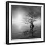 Sunrise Fog-Moises Levy-Framed Photographic Print