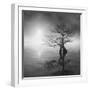 Sunrise Fog-Moises Levy-Framed Photographic Print