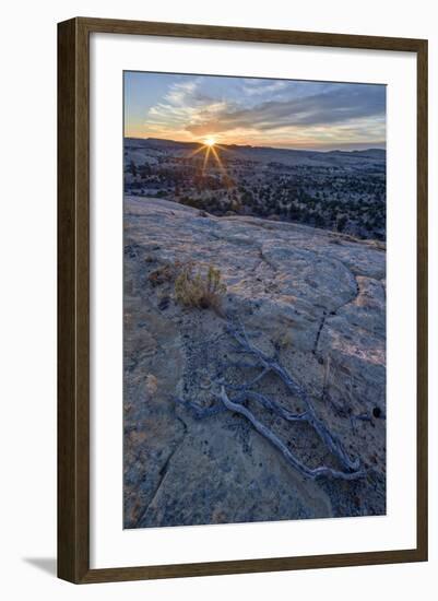 Sunrise from Atop a Sandstone Hill-James Hager-Framed Photographic Print