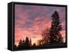 Sunrise From Forest Heights Park, Edmonton, Alberta, Canada-Walter Bibikow-Framed Stretched Canvas