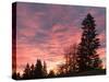 Sunrise From Forest Heights Park, Edmonton, Alberta, Canada-Walter Bibikow-Stretched Canvas