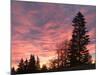 Sunrise From Forest Heights Park, Edmonton, Alberta, Canada-Walter Bibikow-Mounted Photographic Print