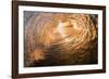 Sunrise from inside a tubing wave-Mark A Johnson-Framed Photographic Print