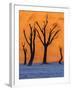 Sunrise from the Deadvlei, Sossusvlei, Namibia.-ClickAlps-Framed Photographic Print