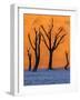 Sunrise from the Deadvlei, Sossusvlei, Namibia.-ClickAlps-Framed Photographic Print