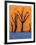 Sunrise from the Deadvlei, Sossusvlei, Namibia.-ClickAlps-Framed Photographic Print