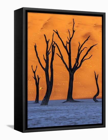 Sunrise from the Deadvlei, Sossusvlei, Namibia.-ClickAlps-Framed Stretched Canvas