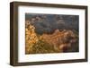 Sunrise from Yaki Point Grand Canyon, Arizona, USA-John Ford-Framed Photographic Print