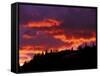 Sunrise, Glacier National Park, Montana, USA-Art Wolfe-Framed Stretched Canvas