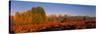 Sunrise Grand Teton National Park WY USA-null-Stretched Canvas