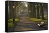 Sunrise, Green Park, London, England, United Kingdom, Europe-James Emmerson-Framed Stretched Canvas