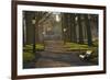 Sunrise, Green Park, London, England, United Kingdom, Europe-James Emmerson-Framed Photographic Print