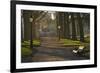 Sunrise, Green Park, London, England, United Kingdom, Europe-James Emmerson-Framed Photographic Print