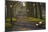 Sunrise, Green Park, London, England, United Kingdom, Europe-James Emmerson-Mounted Photographic Print