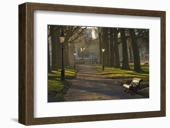 Sunrise, Green Park, London, England, United Kingdom, Europe-James Emmerson-Framed Photographic Print