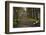 Sunrise, Green Park, London, England, United Kingdom, Europe-James Emmerson-Framed Photographic Print