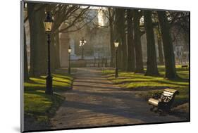 Sunrise, Green Park, London, England, United Kingdom, Europe-James Emmerson-Mounted Photographic Print