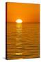 Sunrise, Gulf of California (Sea of Cortez), Baja California, Mexico, North America-Michael Nolan-Stretched Canvas