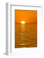 Sunrise, Gulf of California (Sea of Cortez), Baja California, Mexico, North America-Michael Nolan-Framed Photographic Print