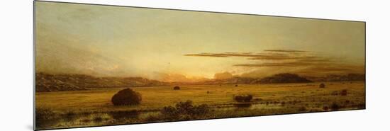 Sunrise, Hoboken Meadows, C.1875-1885-Martin Johnson Heade-Mounted Giclee Print