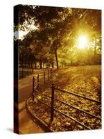 Sunrise in Central Park-null-Stretched Canvas