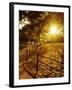 Sunrise in Central Park-null-Framed Photographic Print