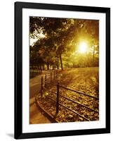 Sunrise in Central Park-null-Framed Photographic Print