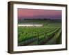 Sunrise in Distant Fog, Carnaros, Napa Valley, California, USA-Janis Miglavs-Framed Photographic Print