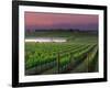 Sunrise in Distant Fog, Carnaros, Napa Valley, California, USA-Janis Miglavs-Framed Photographic Print