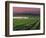 Sunrise in Distant Fog, Carnaros, Napa Valley, California, USA-Janis Miglavs-Framed Photographic Print