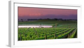 Sunrise in Distant Fog, Carnaros, Napa Valley, California, USA-Janis Miglavs-Framed Photographic Print