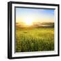 Sunrise in Green Rural Field-Liang Zhang-Framed Premium Photographic Print