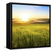 Sunrise in Green Rural Field-Liang Zhang-Framed Stretched Canvas