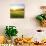 Sunrise in Green Rural Field-Liang Zhang-Photographic Print displayed on a wall